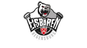Eisbären Regensburg